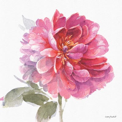 Obviously Pink IIA by Lisa Audit framed canvas print