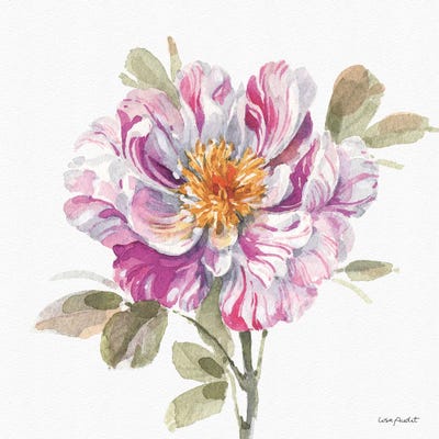 Obviously Pink IVA by Lisa Audit framed canvas print