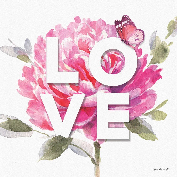 Obviously Pink VIIA by Lisa Audit wall art