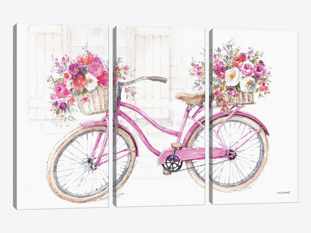 Obviously Pink XIIA by Lisa Audit 3-piece Canvas Print