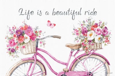 Obviously Pink XIIIA by Lisa Audit framed canvas print