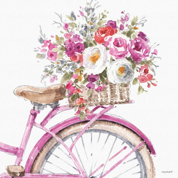 Bicycles: Obviously Pink XVA by Lisa Audit