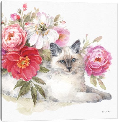 Obviously Pink XXIB Canvas Art Print - Lisa Audit