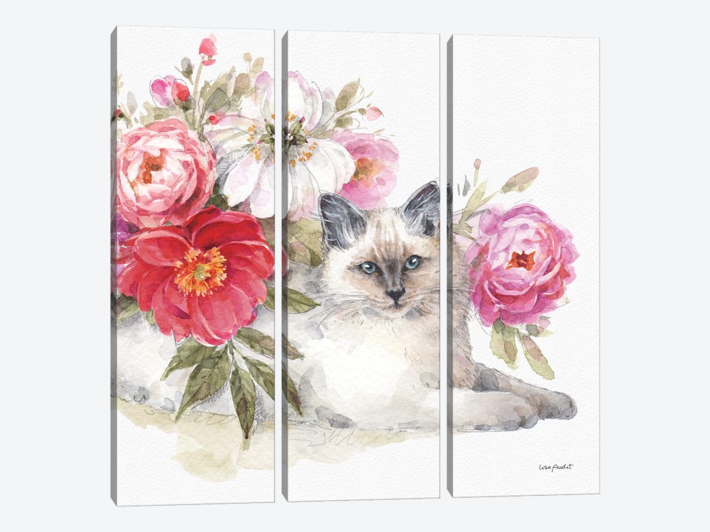 Obviously Pink XXIB by Lisa Audit 3-piece Canvas Wall Art