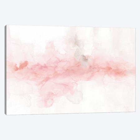 Rainbow Seeds Abstract Blush Gray Crop Canvas Print #UDI27} by Lisa Audit Canvas Wall Art