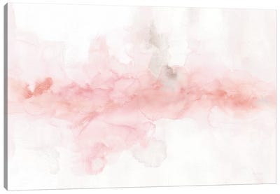 Rainbow Seeds Abstract Blush Gray Crop Canvas Art Print - Lisa Audit