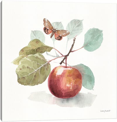 Autumn In Nature II On White Canvas Art Print - Lisa Audit