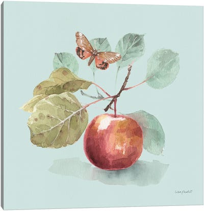 Autumn In Nature II On Aqua Canvas Art Print - Lisa Audit