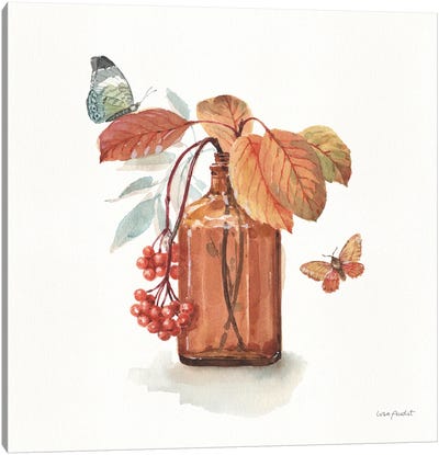 Autumn In Nature III On White Canvas Art Print - Lisa Audit