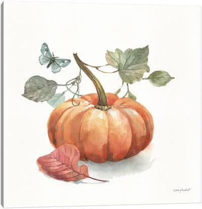 Autumn In Nature IV On White Canvas Art Print - Pumpkins
