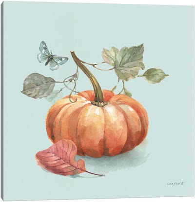 Autumn In Nature IV On Aqua Canvas Art Print - Pumpkins