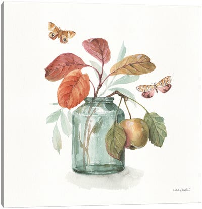 Autumn In Nature V On White Canvas Art Print - Lisa Audit