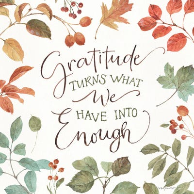 Autumn In Nature VI On White by Lisa Audit framed canvas print