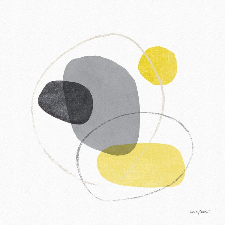 Radiance II by Lisa Audit wall art