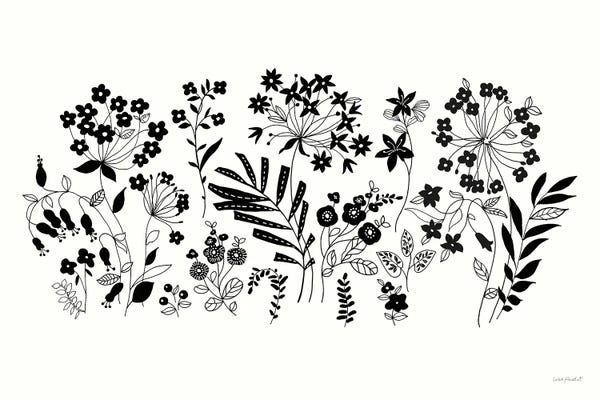 Black & White Florals: Night & Day I by Lisa Audit