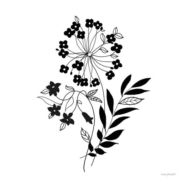 Black & White Florals: Night & Day V by Lisa Audit
