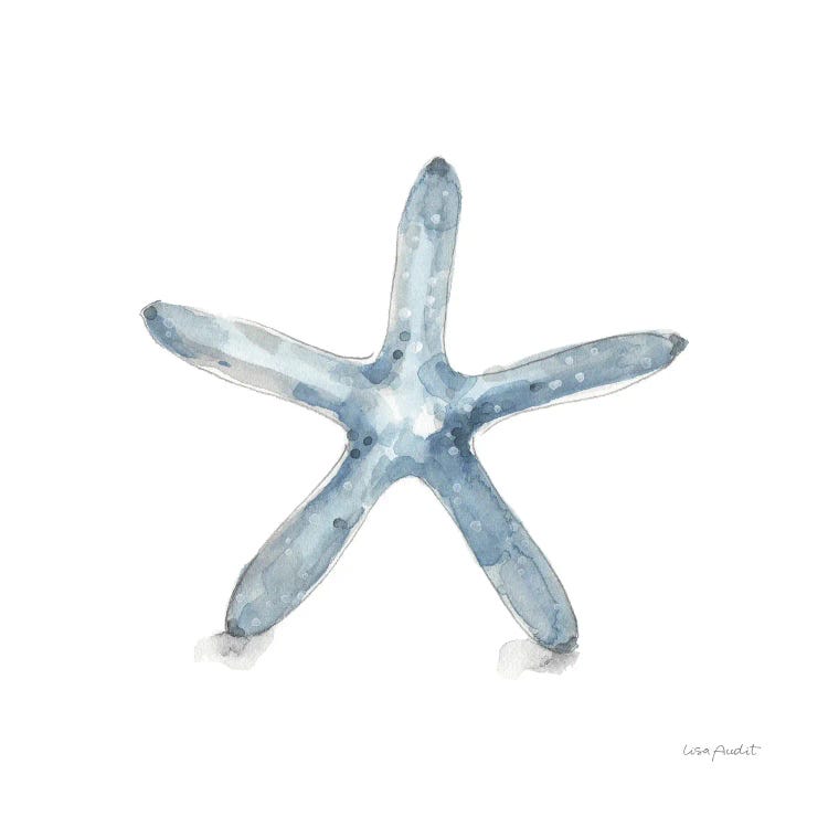 Blue Escape Coastal VIII by Lisa Audit wall art