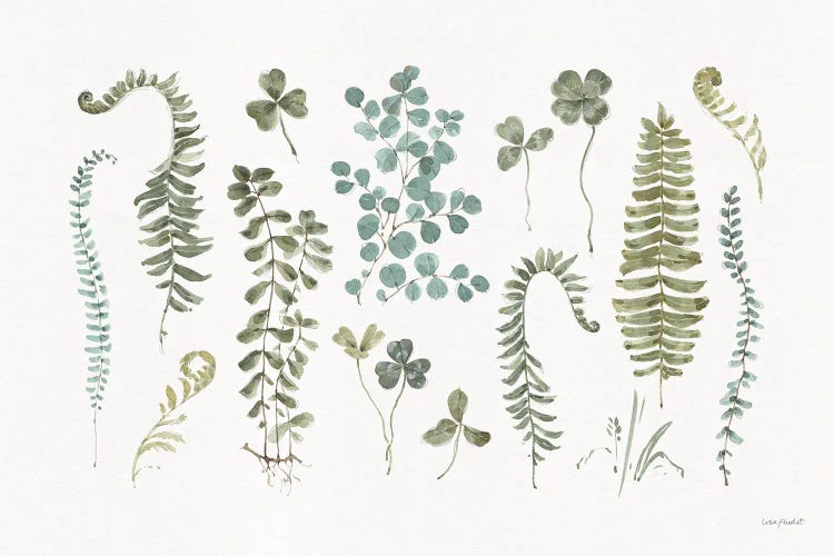 Fern Study I