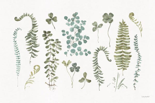 Vintage Botanical Illustrations: Fern Study I by Lisa Audit