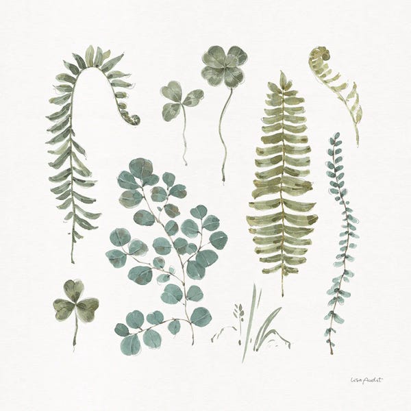 Vintage Botanical Illustrations: Fern Study II by Lisa Audit