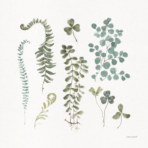 Ferns: Fern Study III by Lisa Audit