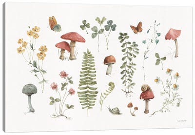 Forest Treasures I Canvas Art Print - Mushroom Art