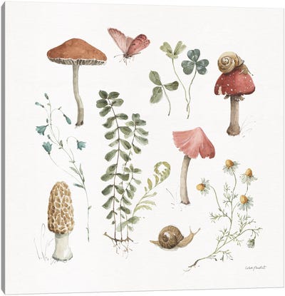 Forest Treasures II Canvas Art Print - Mushroom Art