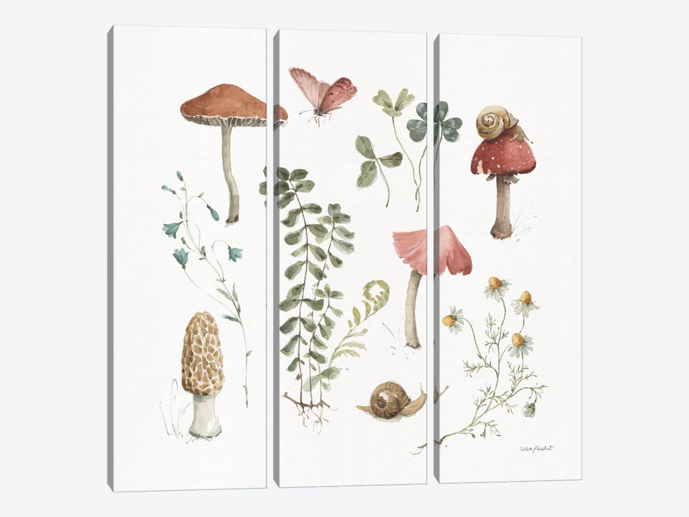 Forest Treasures II by Lisa Audit 3-piece Canvas Wall Art