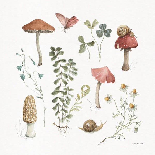 Daisies: Forest Treasures II by Lisa Audit