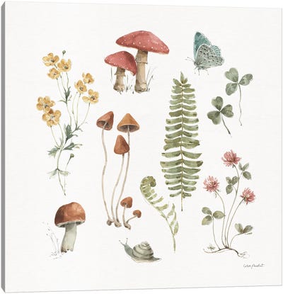 Forest Treasures III Canvas Art Print - Mushroom Art