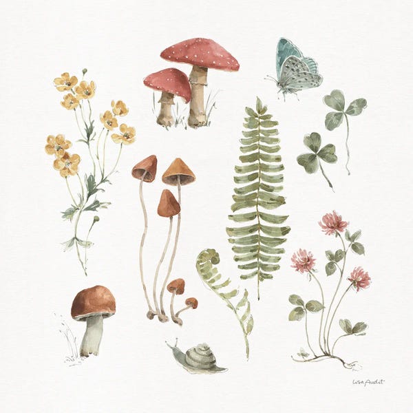 Vintage Botanical Illustrations: Forest Treasures III by Lisa Audit