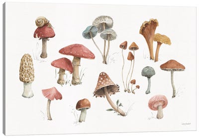 Mushroom Medley I Canvas Art Print - Vegetable Art