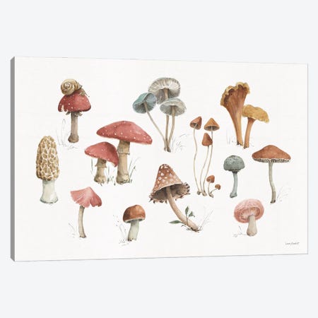 Mushroom Medley I Canvas Print #UDI421} by Lisa Audit Canvas Print