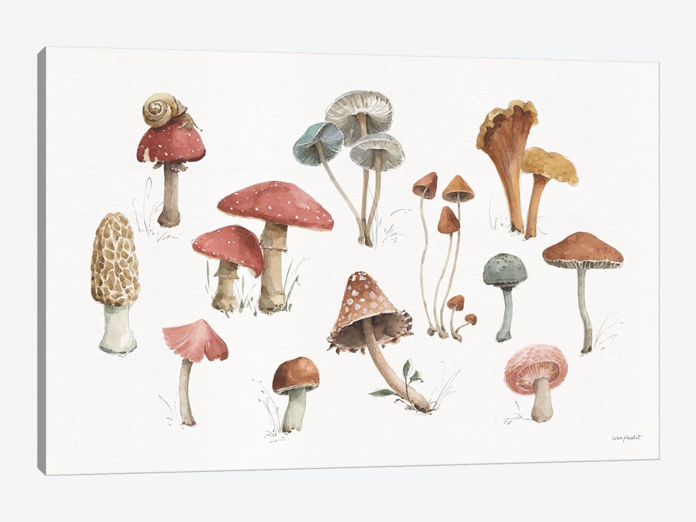 Mushroom Medley I by Lisa Audit 1-piece Canvas Art Print