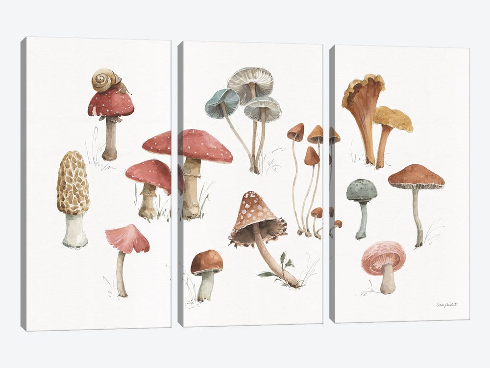 Mushroom Medley I by Lisa Audit 3-piece Canvas Print