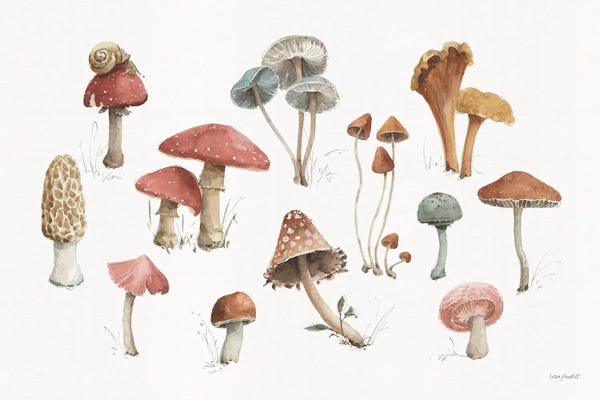 Mushrooms: Mushroom Medley I by Lisa Audit