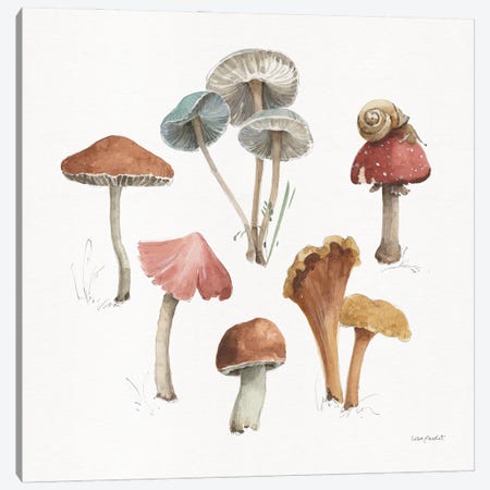 Mushroom Medley II Canvas Print #UDI422} by Lisa Audit Canvas Print