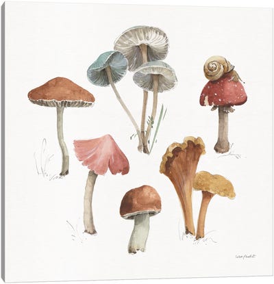 Mushroom Medley II Canvas Art Print - Snail Art