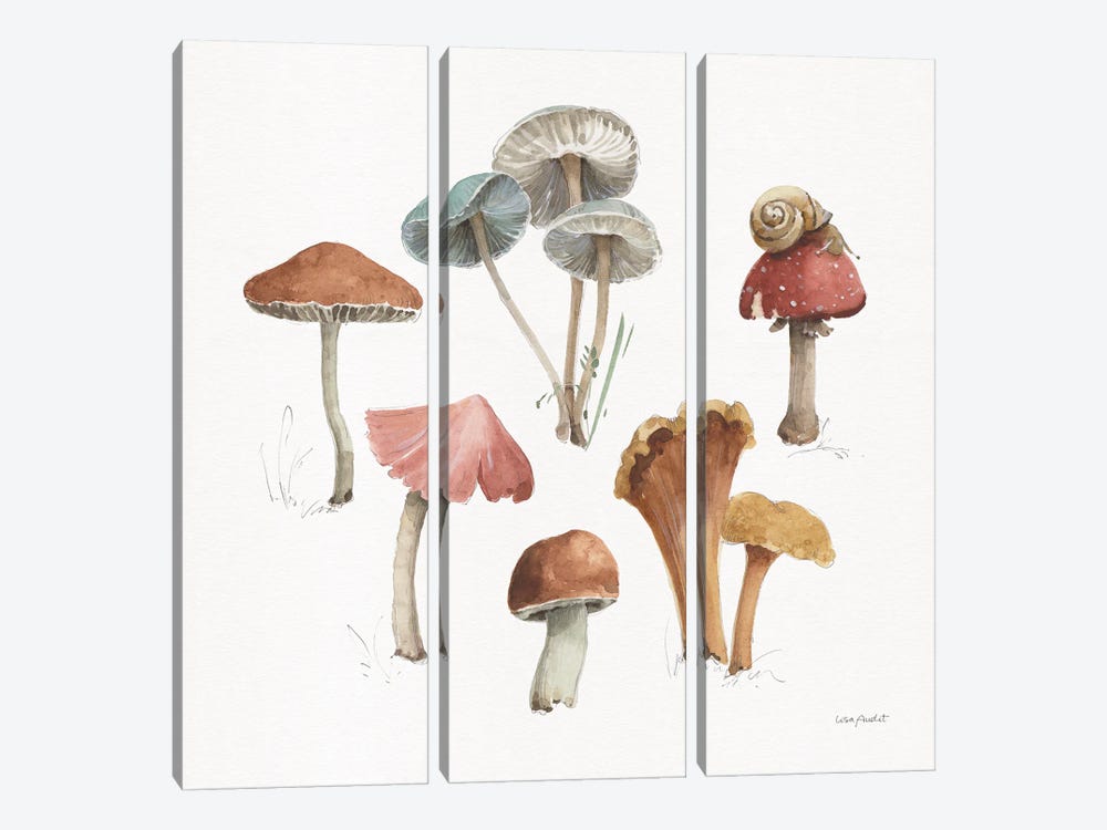 Mushroom Medley II by Lisa Audit 3-piece Canvas Wall Art