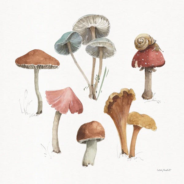 Snails: Mushroom Medley II by Lisa Audit
