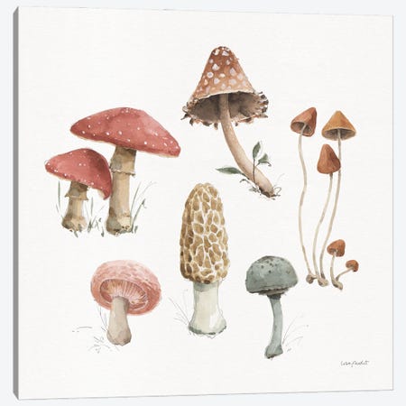Mushroom Medley III Canvas Print #UDI423} by Lisa Audit Art Print