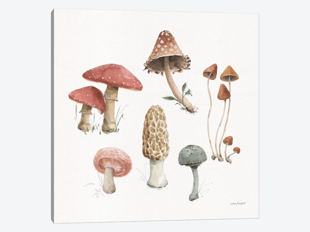 Mushroom Medley III by Lisa Audit 1-piece Canvas Art Print