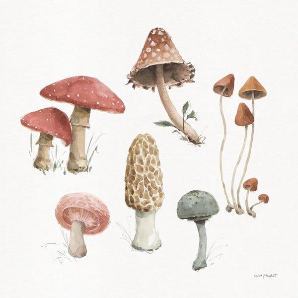 Mushrooms: Mushroom Medley III by Lisa Audit