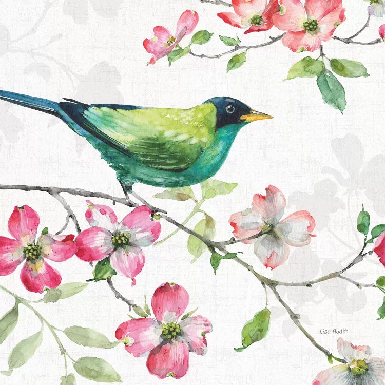 Dogwood Garden II by Lisa Audit wall art