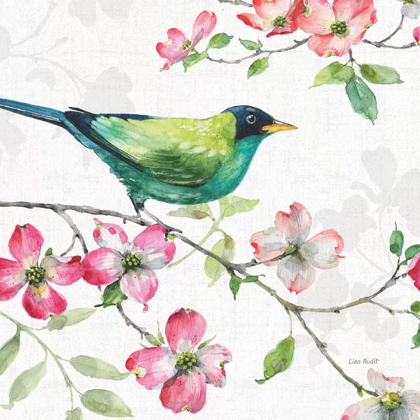 Dogwood: Dogwood Garden II by Lisa Audit