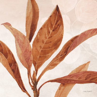 Terra II by Lisa Audit framed canvas print