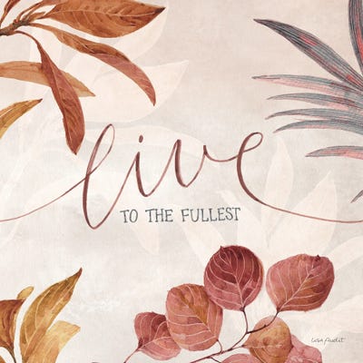 Terra VI by Lisa Audit canvas print