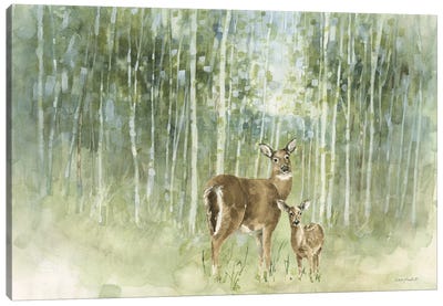 Nature's Call I Canvas Art Print - Deer Art
