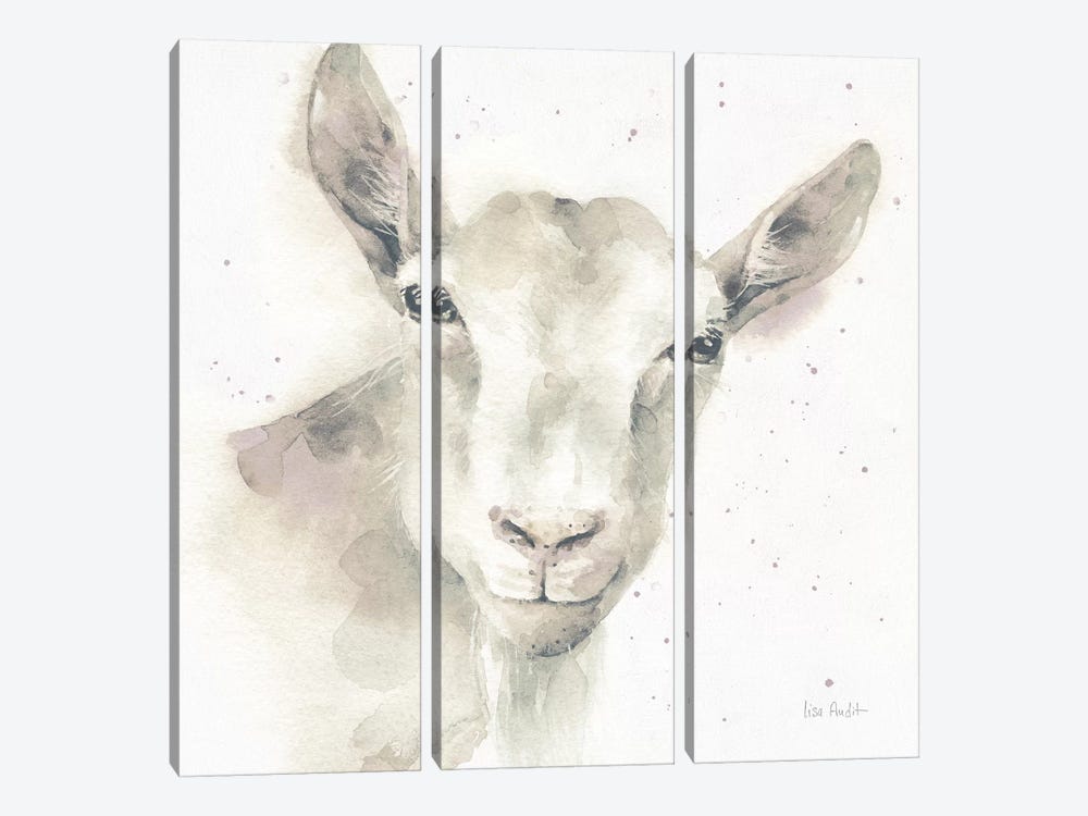 Farm Friends I  by Lisa Audit 3-piece Art Print