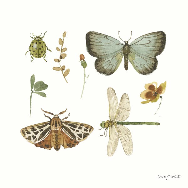 Vintage Animal Illustrations: Green Fields XI by Lisa Audit